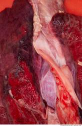 Photo Textures of RAW Pork Viscera